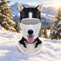 Husky
